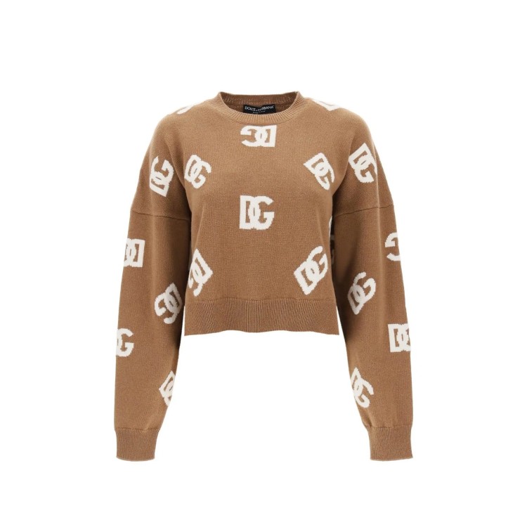 Shop Dolce & Gabbana Dg Ribbed Pullover In Brown