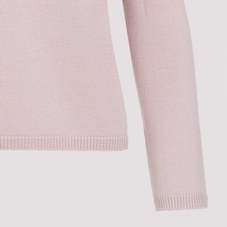 Shop Max Mara Paprica Pink Virgin Wool Knit Hoodie In White