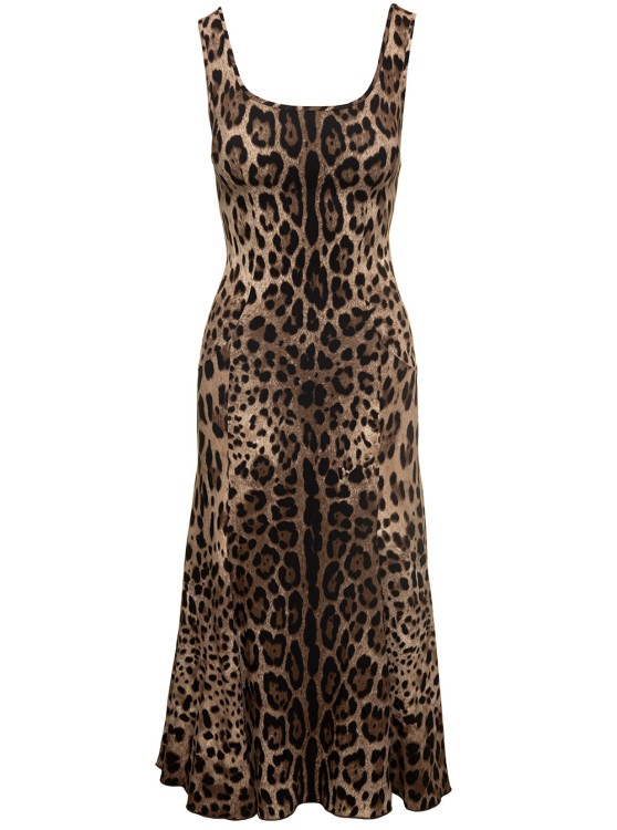 Shop Dolce & Gabbana Mini Brown Dress With All-over Leo Print In Stretch Viscose