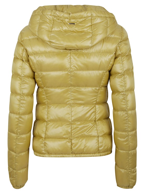 Shop Herno Canary Yellow Down Jacket In Green