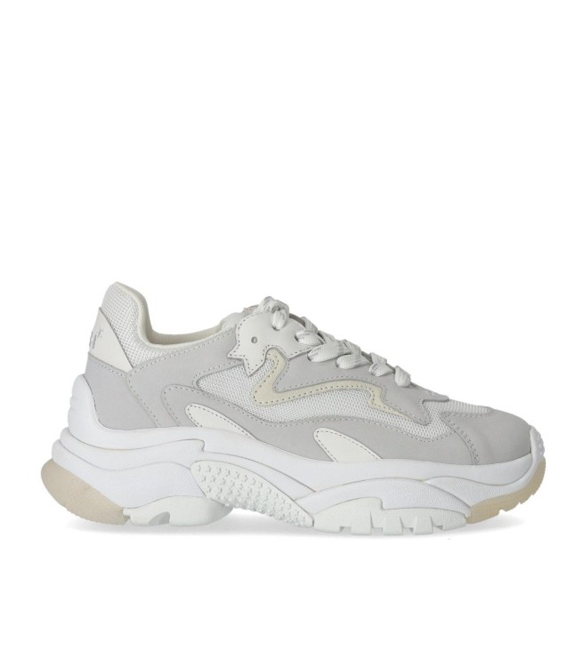 Shop Ash Addict White Sneaker In Grey