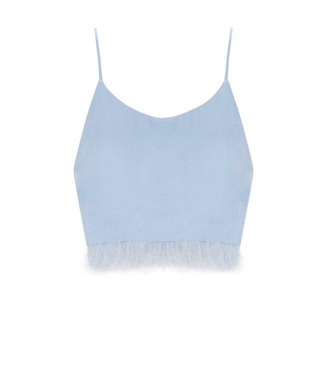 Shop Twinset Light Blue Crop Top With Feathers