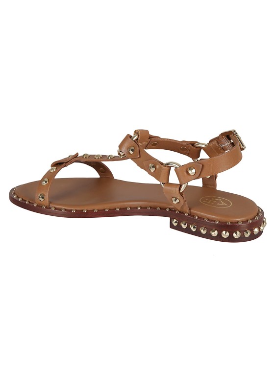 Shop Ash Flat Sandals In Brown