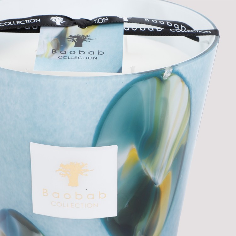Shop Baobab Collection Oceania Tingari Candle Max 16 In Not Applicable