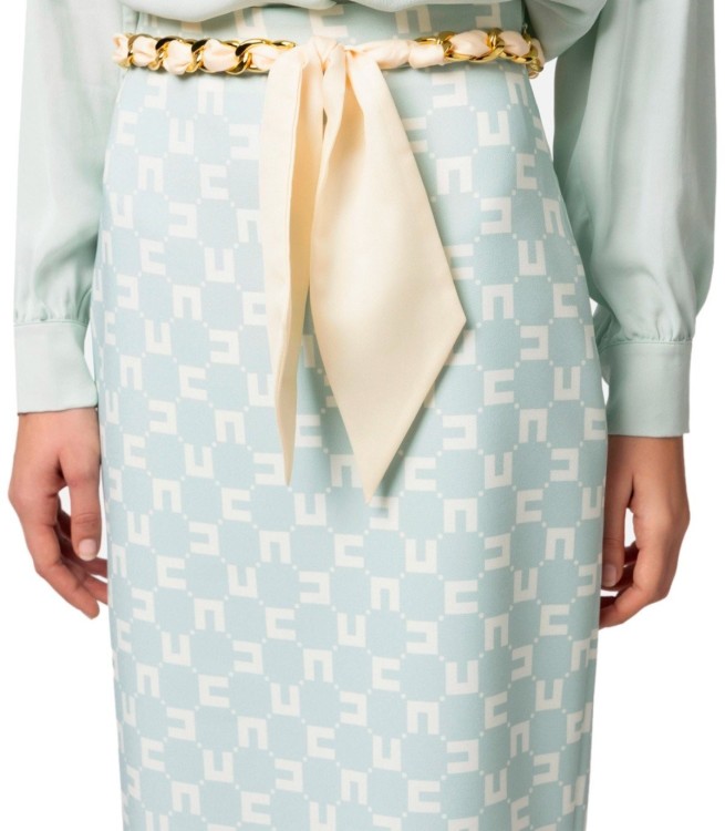 Shop Elisabetta Franchi Acqua Monogram Belted Skirt In Grey