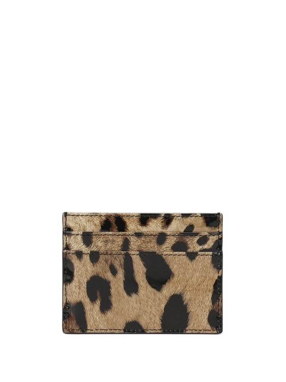 Shop Dolce & Gabbana Leopard-print Card Holder In Black