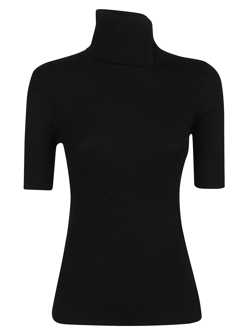 P.a.r.o.s.h Leila Turtleneck Wool Knit Top In Black